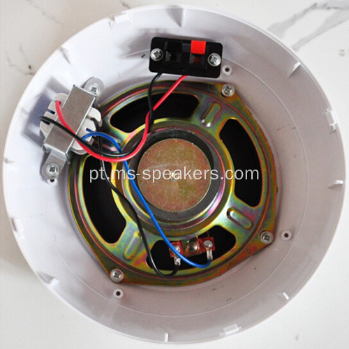 5 polegadas de 3w/6w montado na superfície alto -falantes de teto